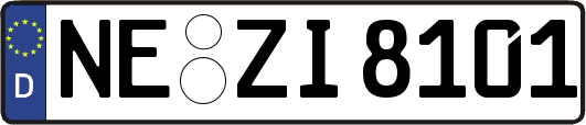 NE-ZI8101
