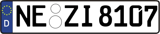 NE-ZI8107