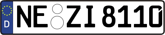 NE-ZI8110