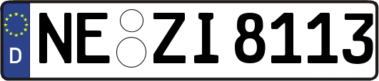 NE-ZI8113