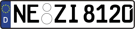 NE-ZI8120