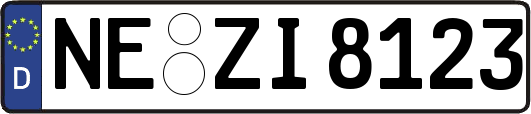 NE-ZI8123