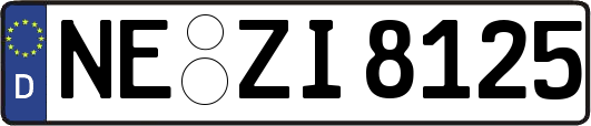 NE-ZI8125