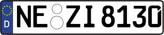 NE-ZI8130