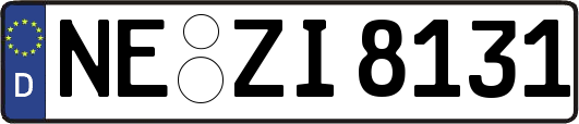 NE-ZI8131