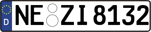 NE-ZI8132