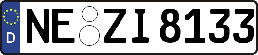 NE-ZI8133