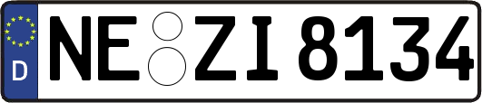 NE-ZI8134