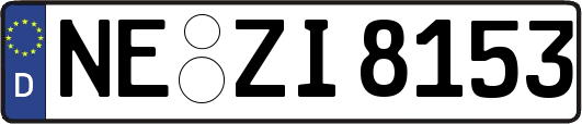 NE-ZI8153