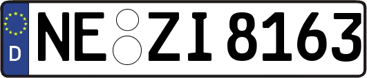 NE-ZI8163