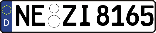 NE-ZI8165