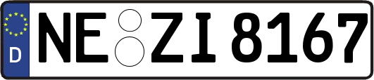 NE-ZI8167