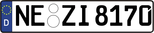 NE-ZI8170