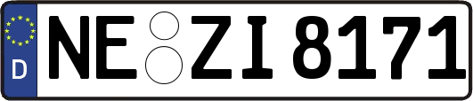 NE-ZI8171
