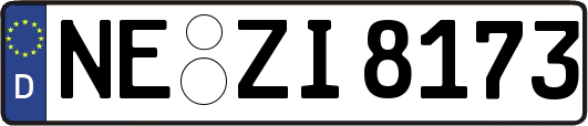 NE-ZI8173