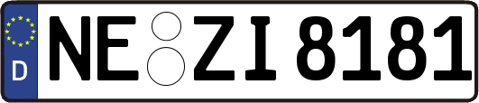 NE-ZI8181