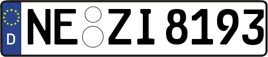 NE-ZI8193