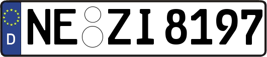 NE-ZI8197
