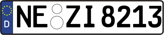 NE-ZI8213