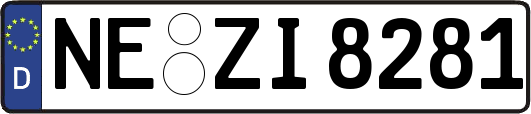 NE-ZI8281