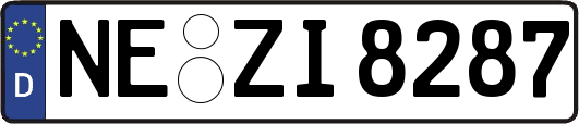 NE-ZI8287