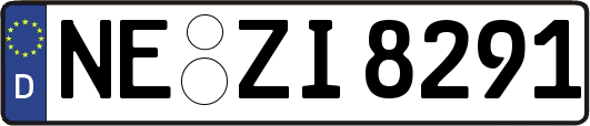 NE-ZI8291