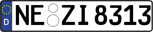NE-ZI8313