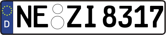 NE-ZI8317