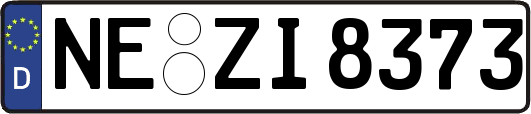 NE-ZI8373