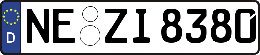 NE-ZI8380