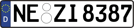 NE-ZI8387