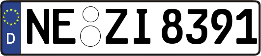 NE-ZI8391