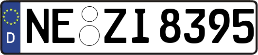 NE-ZI8395