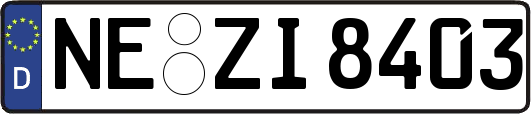 NE-ZI8403