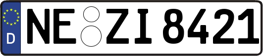 NE-ZI8421