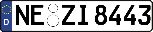 NE-ZI8443
