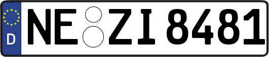 NE-ZI8481