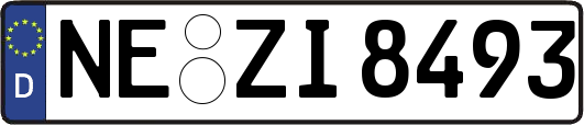 NE-ZI8493