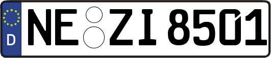NE-ZI8501