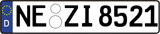 NE-ZI8521
