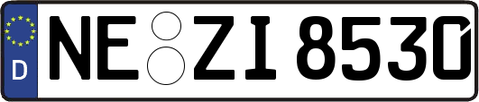 NE-ZI8530