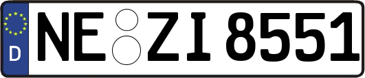 NE-ZI8551