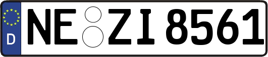 NE-ZI8561