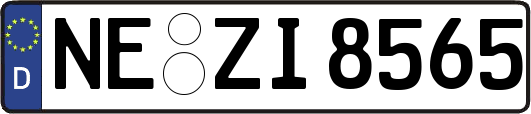 NE-ZI8565