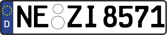 NE-ZI8571