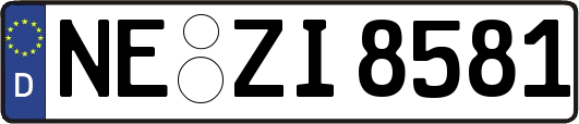 NE-ZI8581