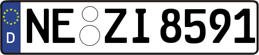 NE-ZI8591