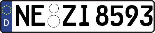 NE-ZI8593