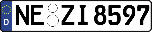 NE-ZI8597