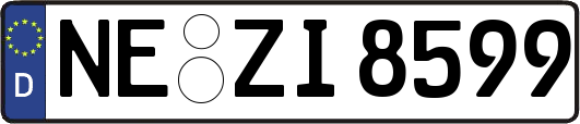 NE-ZI8599